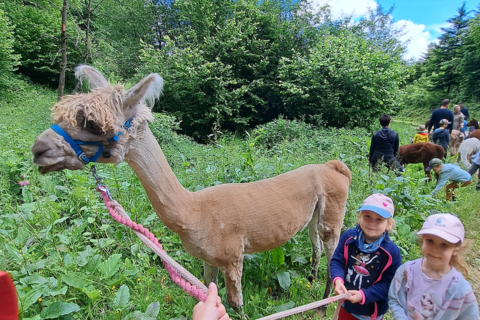 Unvergessliche Kindergartenreise